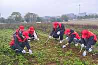 У������Ը�߷����ܶӿ�չ���ݻ�����Ը����