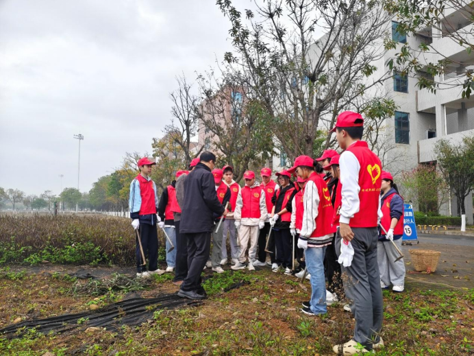 81354c5f5c724b79aa03cacc4c451539