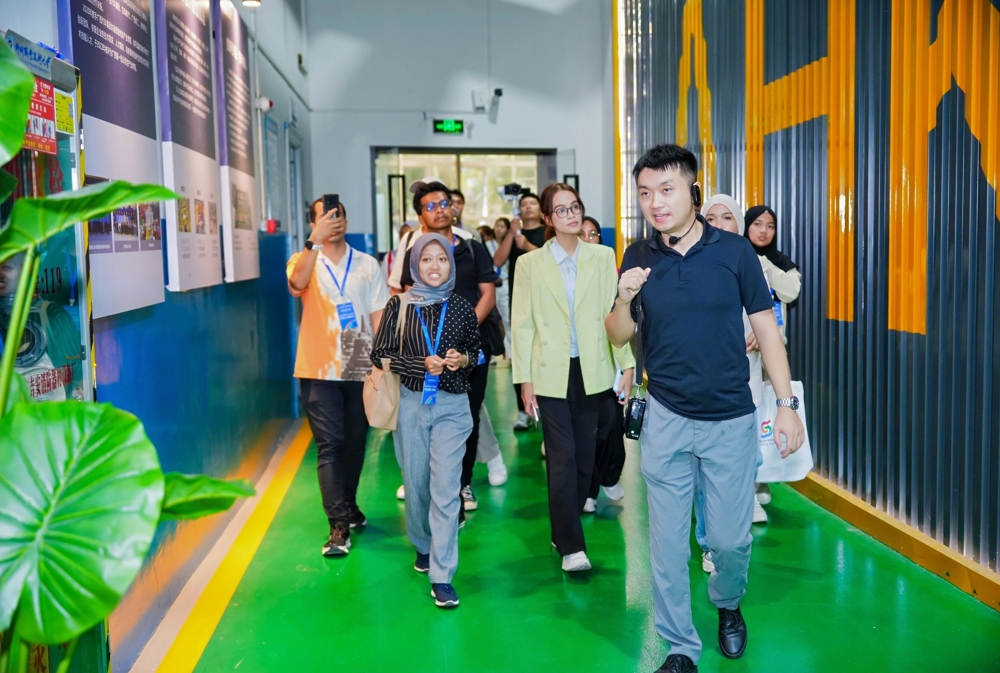 �α�����365���й�˾ʵѵ��