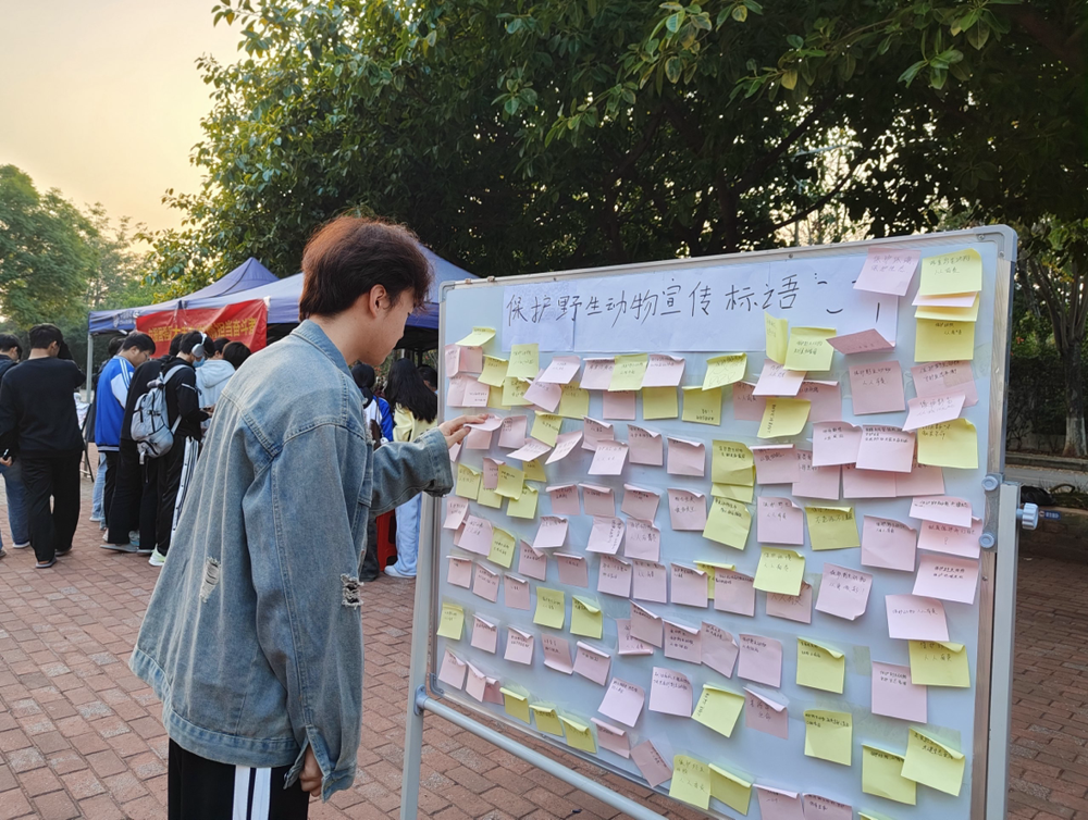 ͬ����ճ������������������ں�