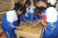 ���ഺϲӭ�Ŵ��᡿365���й�˾������Ը����������Ŀ������������ƪ��