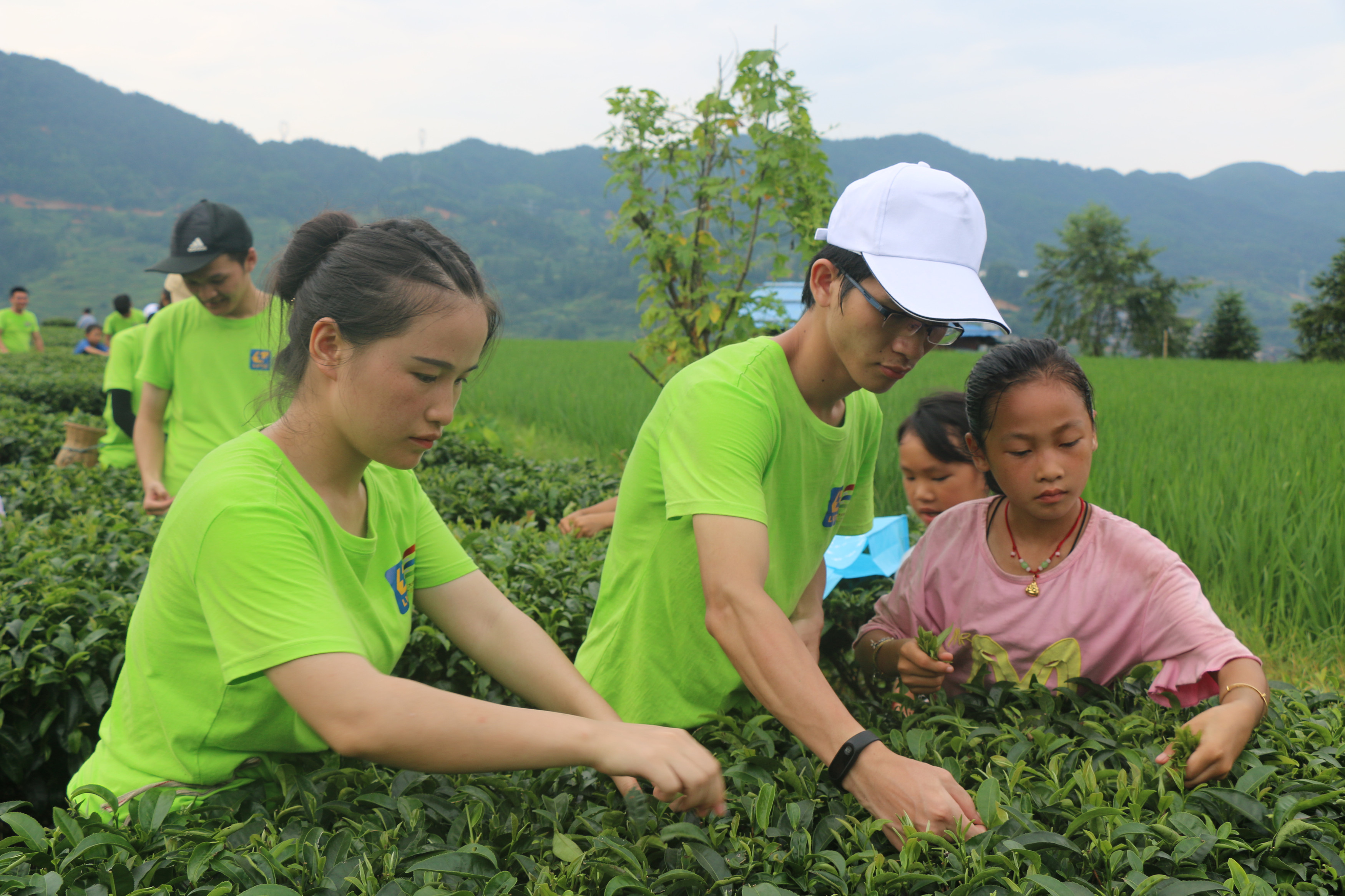 201907241156231739.jpg 201907241156231739.jpg