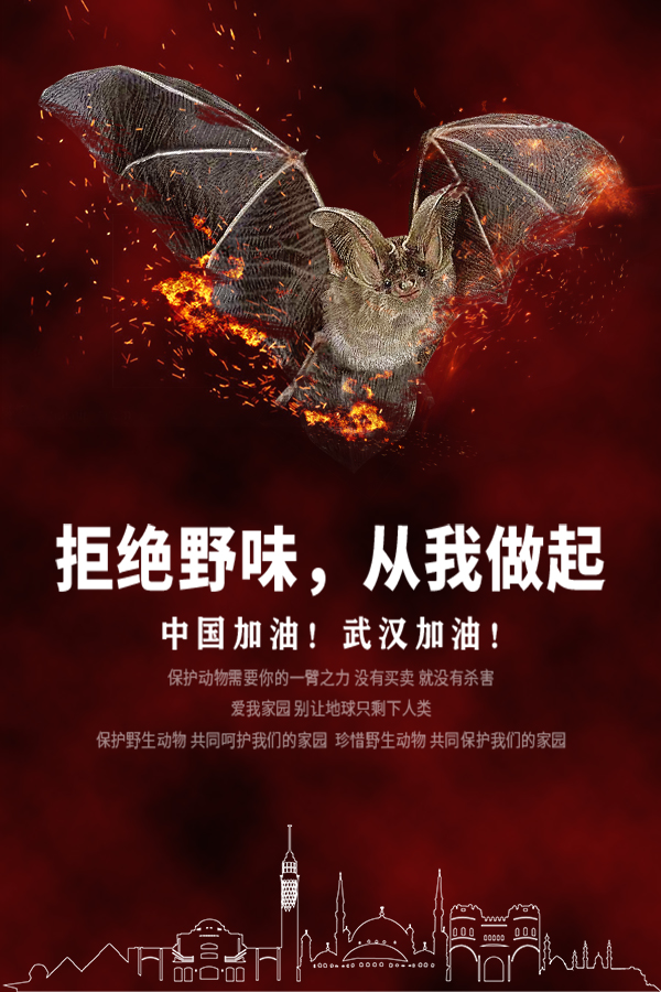 202002081904083670.jpg 202002081904083670.jpg