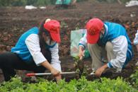 ѧ˼�����ʮ��   ������Ͷ�����ɫ