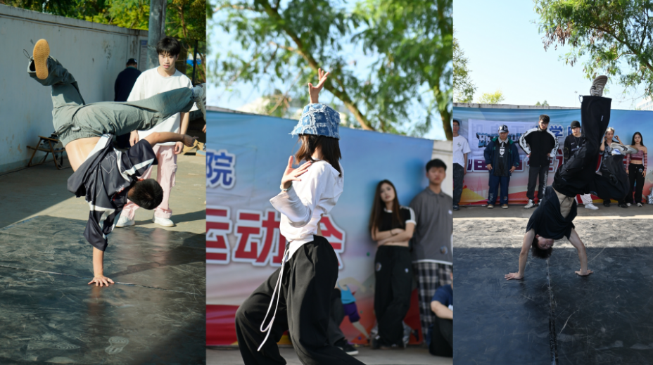 202411121038008330.png 202411121038008330.png