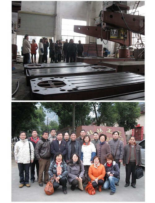 20100113121258310 20100113121258310