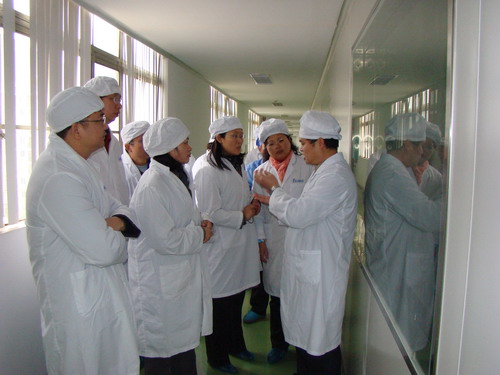 20100116172707403 20100116172707403