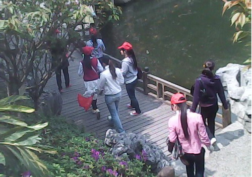 20100409203605773 20100409203605773