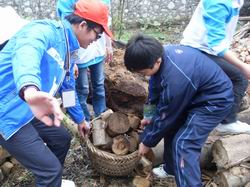 20110331093837583 20110331093837583