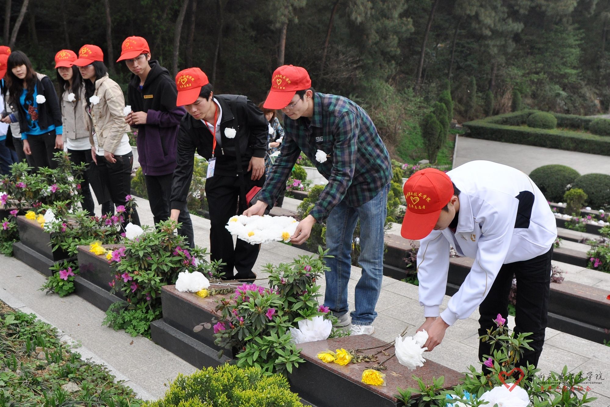 20110408084626722 20110408084626722