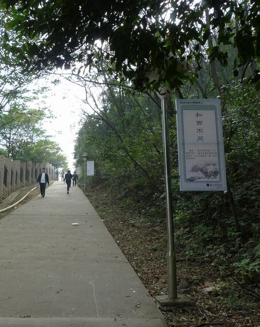 20141128181155485 20141128181155485