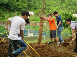 20150708094534123 20150708094534123