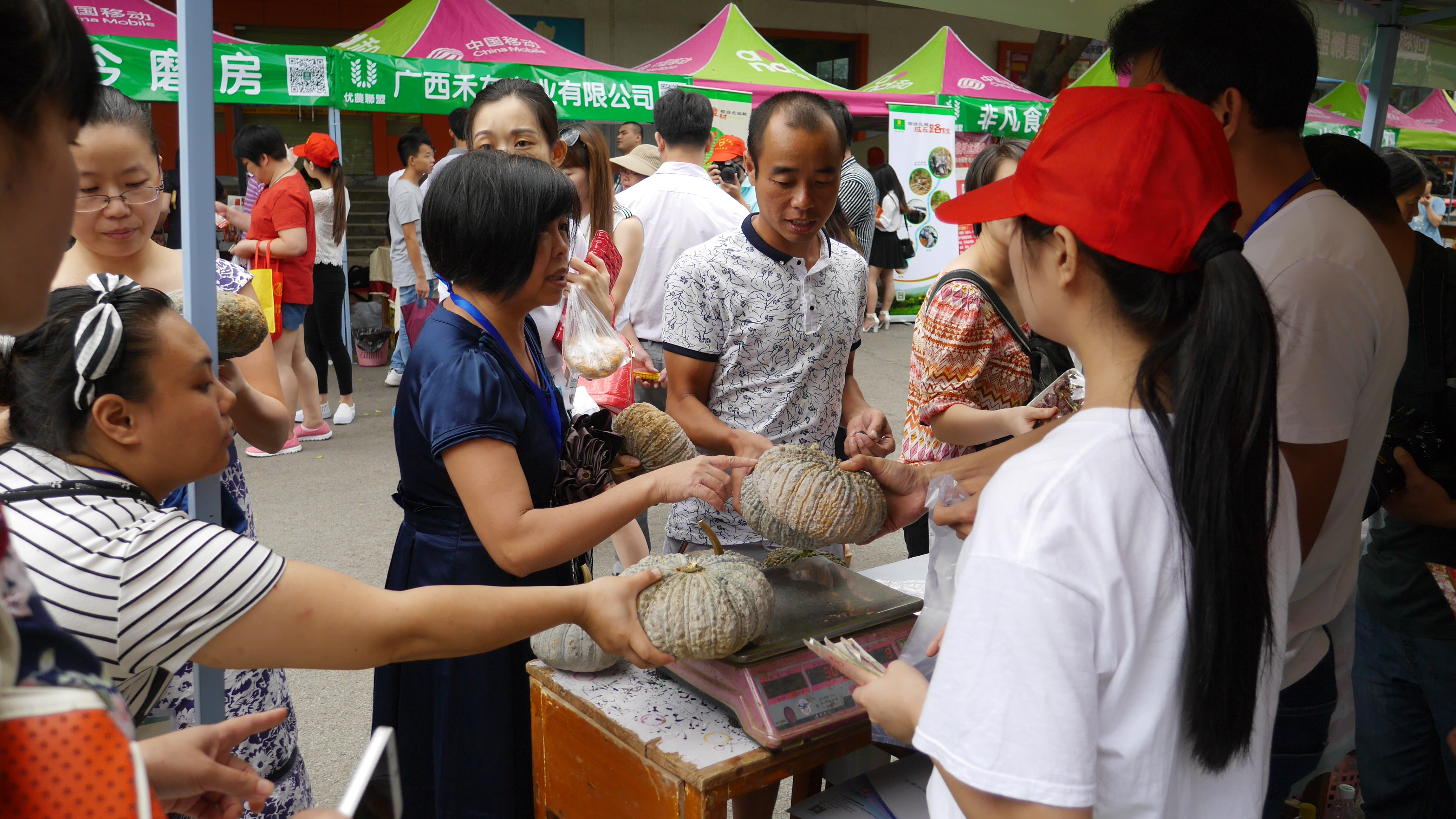 20150708123751136 20150708123751136