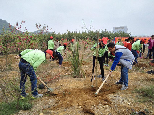 20160314173423476 20160314173423476