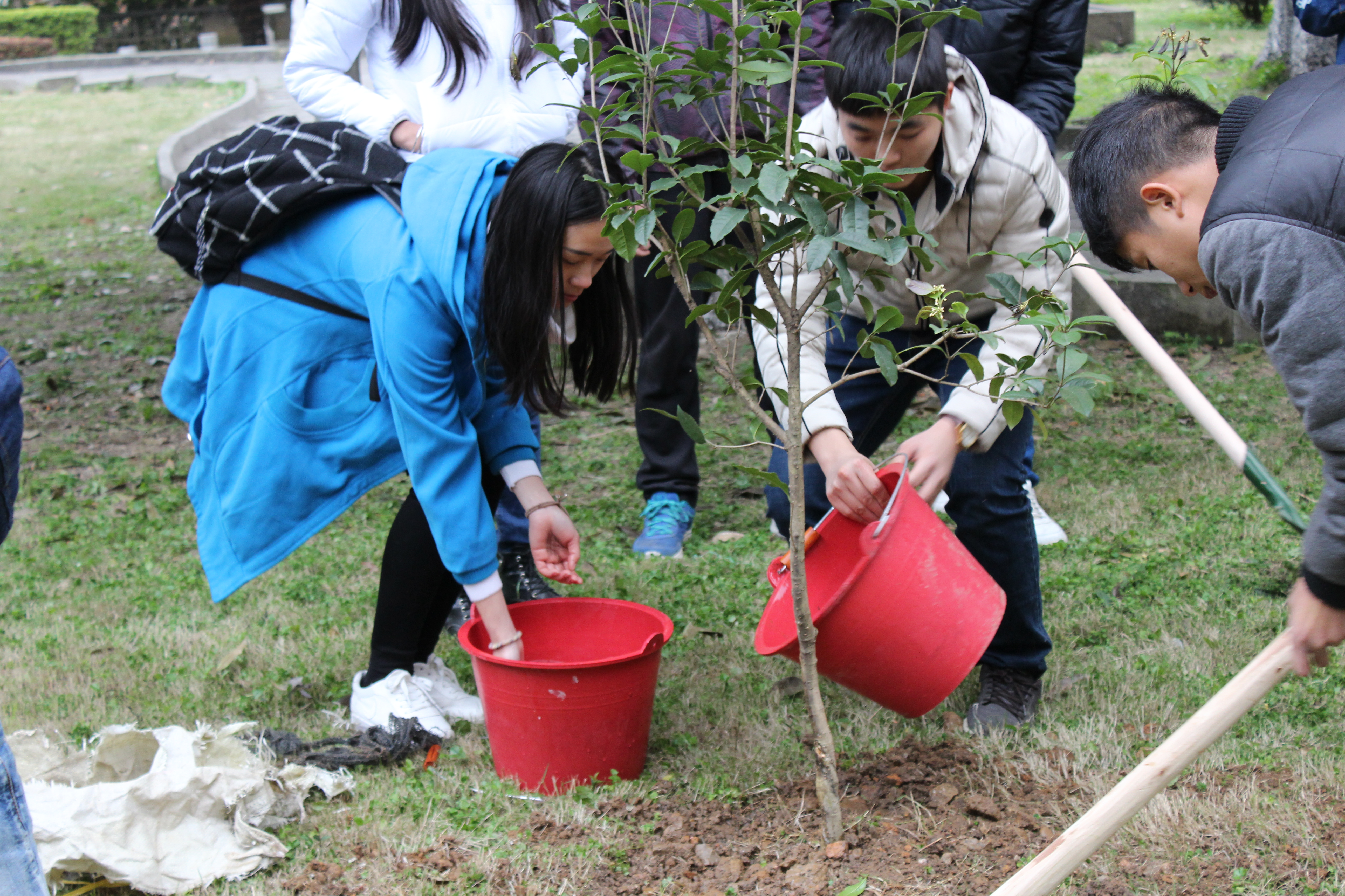 20160315095457835 20160315095457835