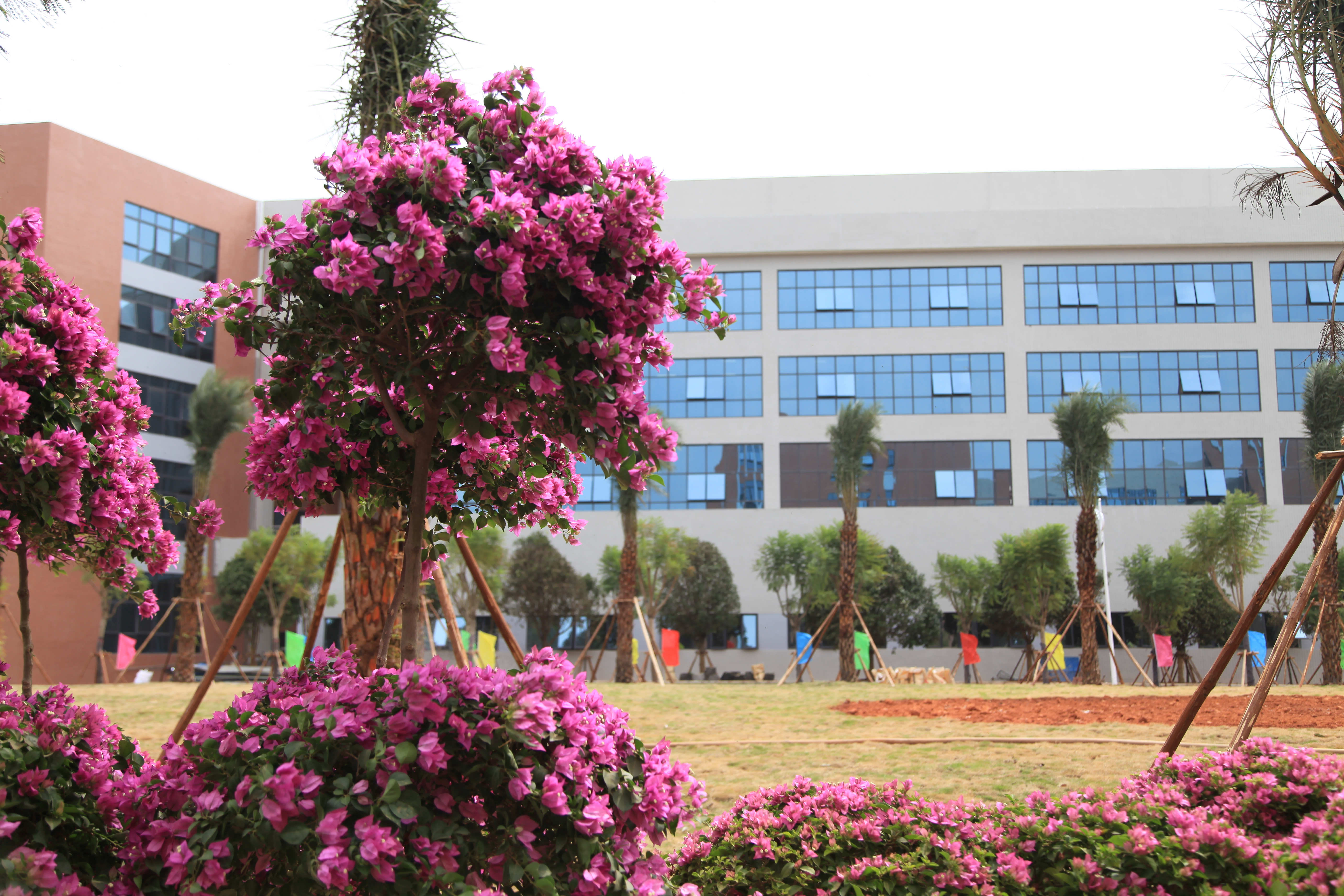 20161008140049677 20161008140049677