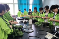 ������ʳ�﹤��ѧԺ��չ"���ż��顤���㴫��"��Ҷ���������