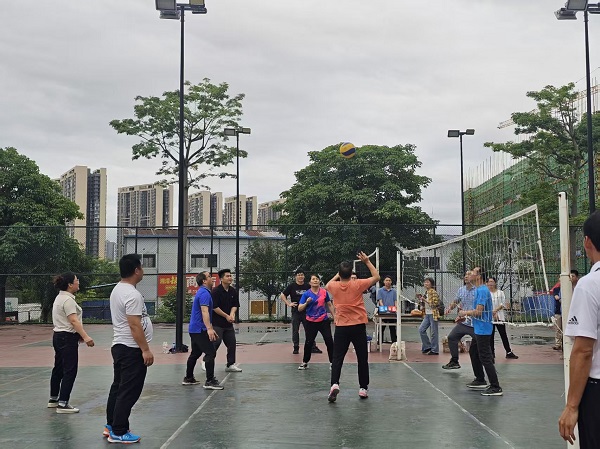 ����籭��������