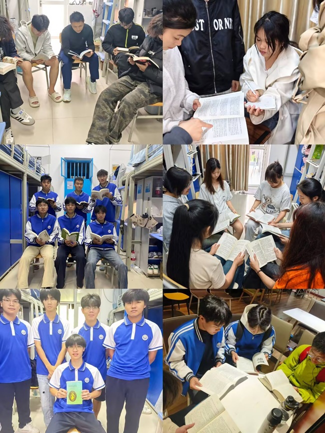 ���������ᡱ�緶չʾ