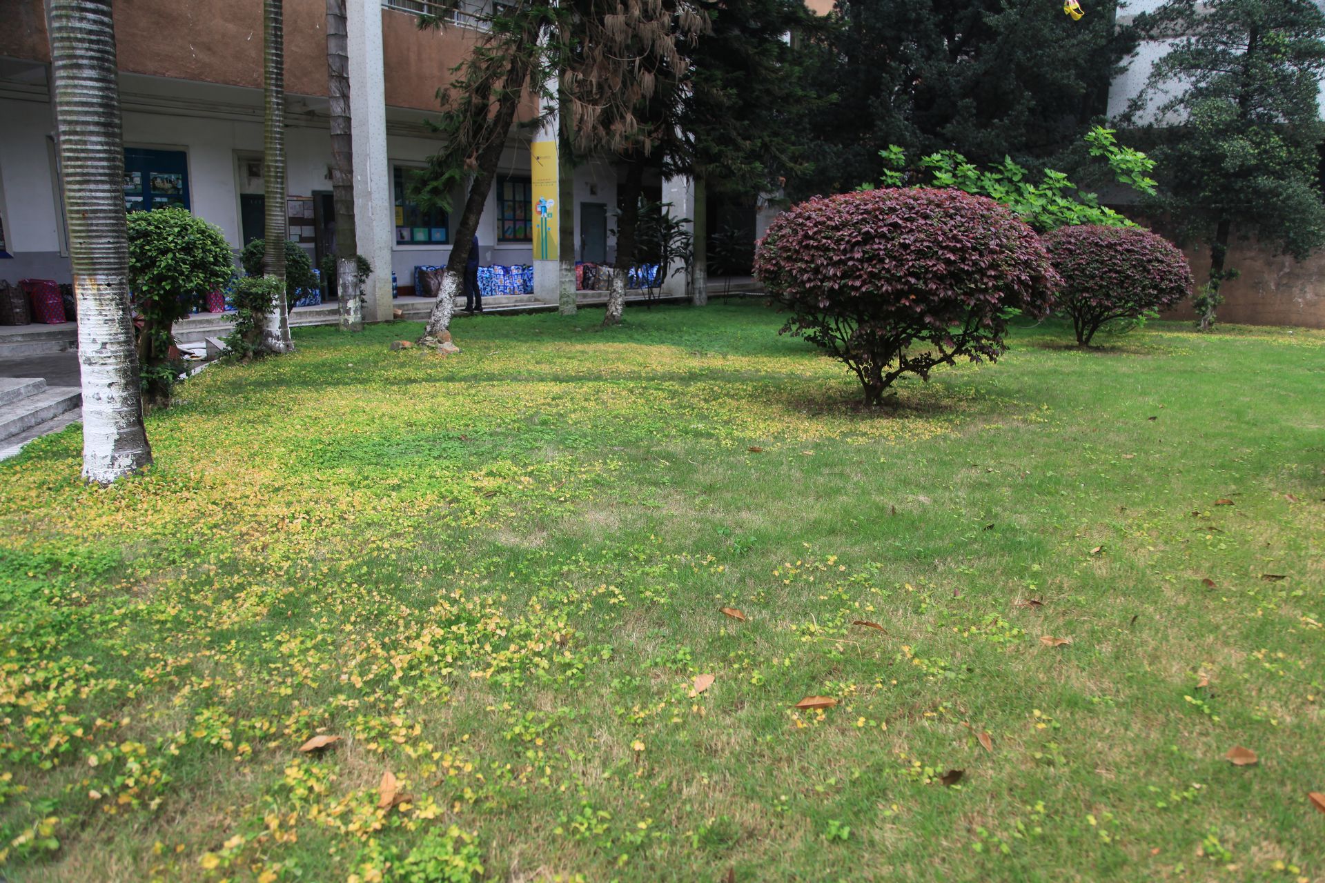 3341feaba8a244b28fccb523eb12e310