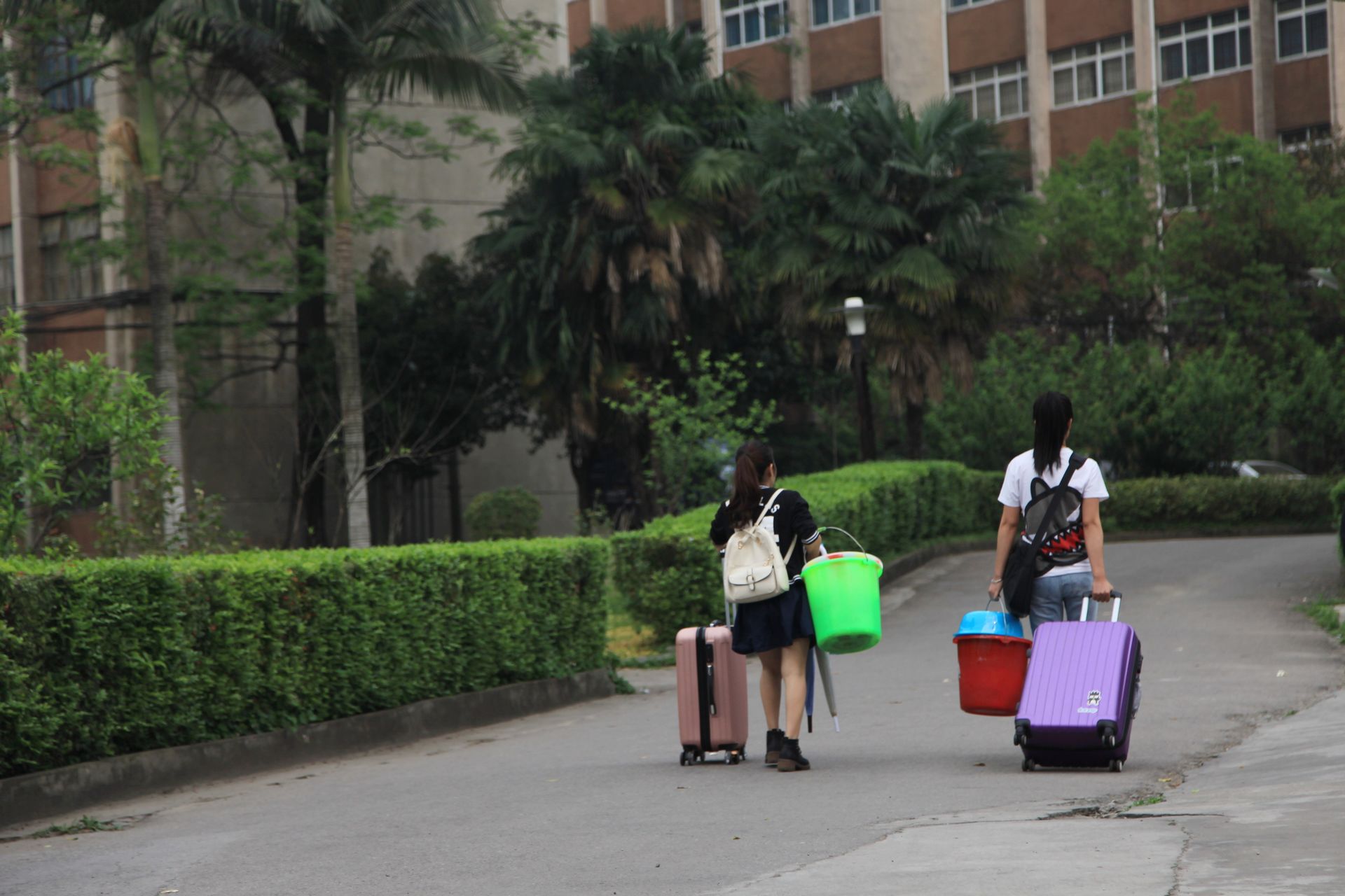 b6dc27fbb0ca4a02a7ab9e235f4ae207