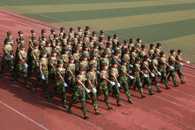 2017��������ѵԲ������