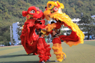 �ڶ�ʮһ���˶��ῪĻ  ���ʷ׳ʿ�����