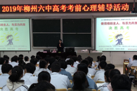 365���й�˾������߿�������+רҵ�ָ��+���������������������ȭ