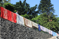 ů����365���й�˾�޹�������ա��ӵ���ɹ����