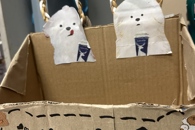 �����ഺ��Ԣ�����ʡ�������ҵ����������ѧԺ��չ2025�������Ļ���ϵ�л