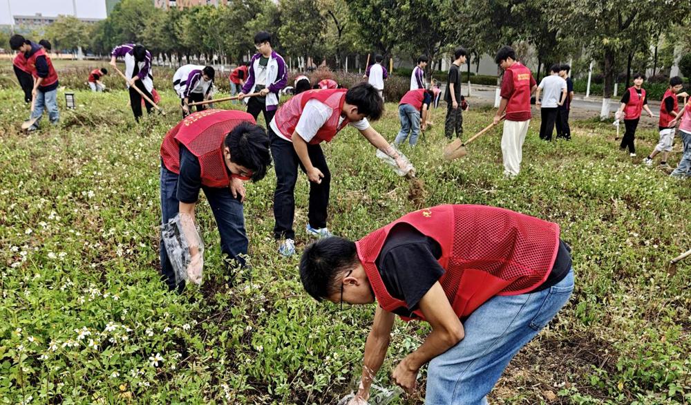 ed48ca2c391ca84add0212192428941c