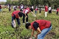 ������Ըչ�緶 �Ͷ��������������������ѧԺ�����Ͷ�԰ʵ�������˳�쿪չ