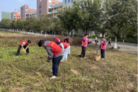 ���ݻ��̼���Ը�����Ͷ����������� ���� ��������ѧԺ�����Ͷ�԰������Ը����˳�쿪չ