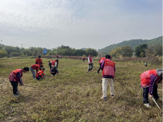 45420aac3af343cd83e9077d178c76ee