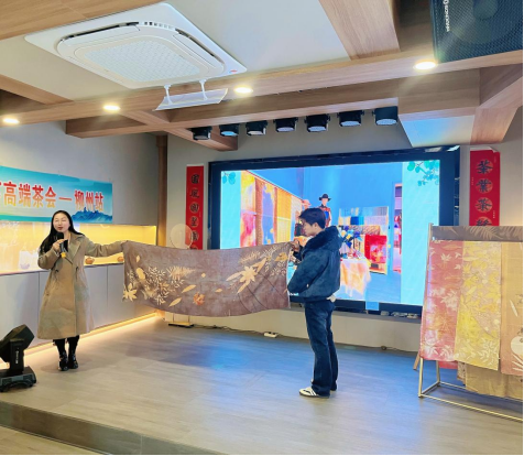 8d0424f8a4b446c2a410e77fc8659cf1