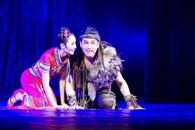 ��������ϸ����������365���й�˾ѧ��������--365���й�˾ѧ�������������������������